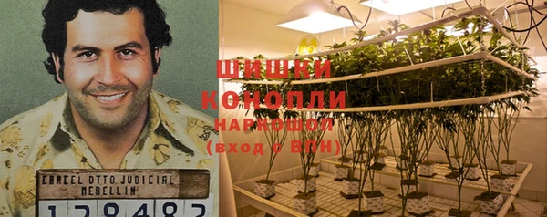 гашиш Магас