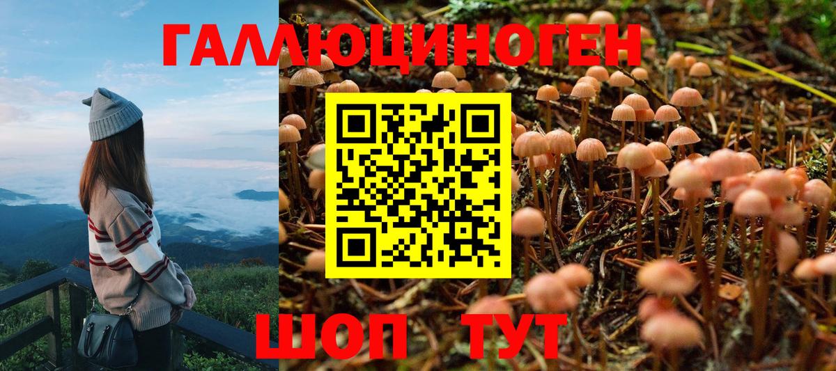 Псилоцибиновые грибы Cubensis Первоуральск