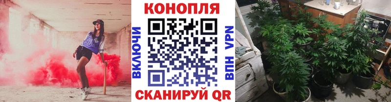 Бошки Шишки Ganja  наркота  Первоуральск 